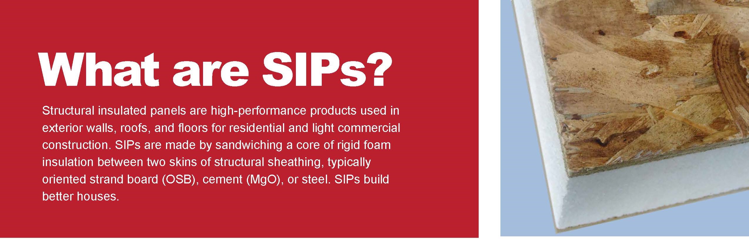 what are sips